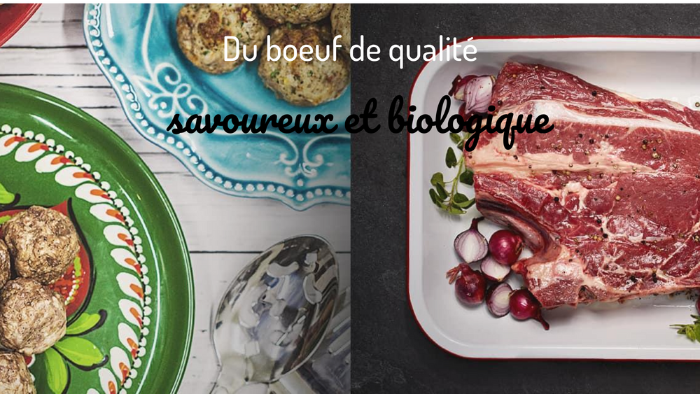 BOUILLON DE BOEUF - Aylmer - Votre ingrédient secret